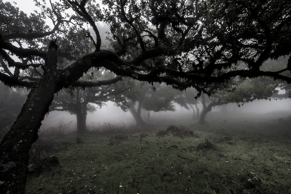 8. Platz Manfred Klughammer